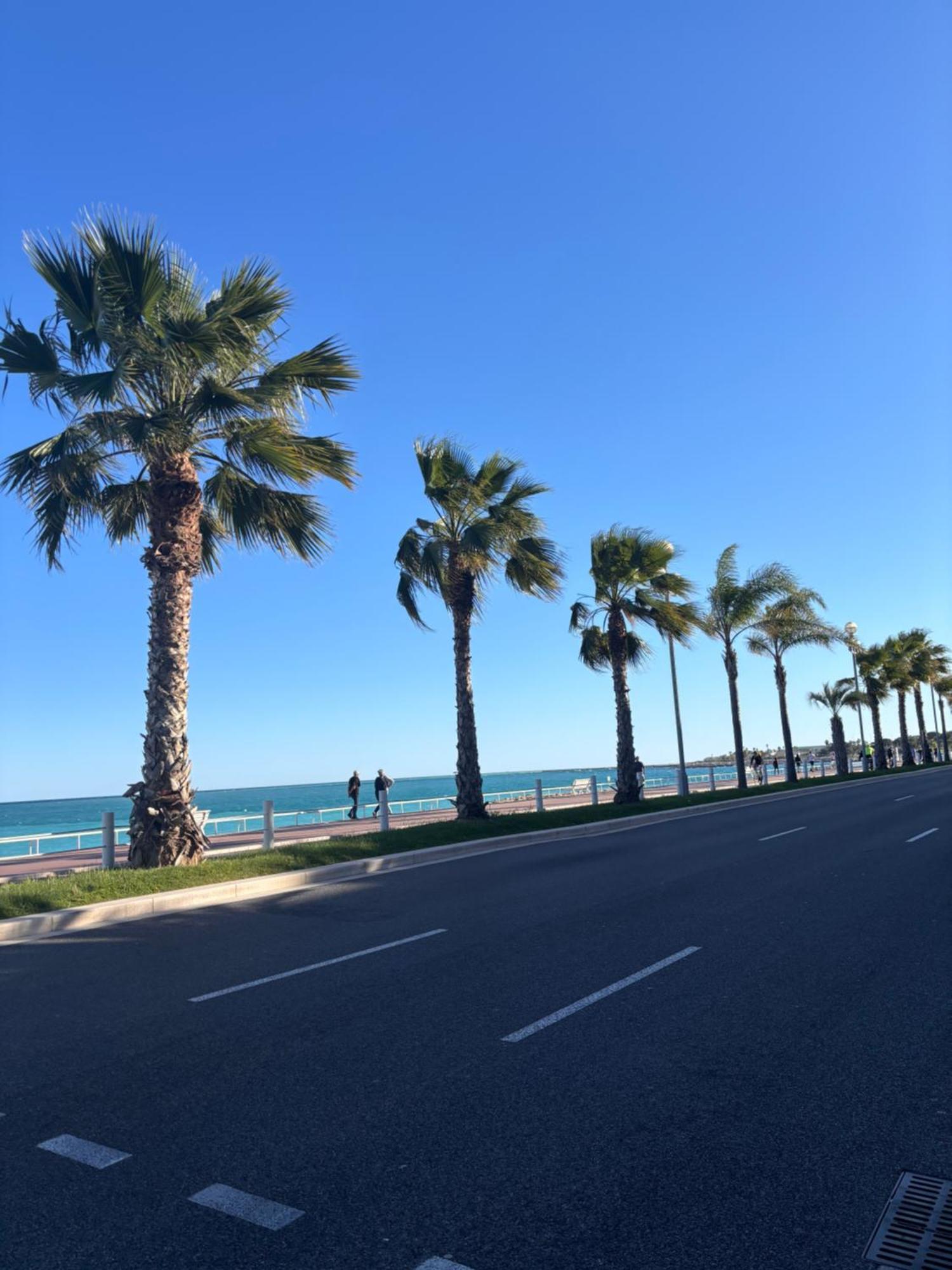 Grand Studio De 30 M2 Promenade Des Anglais Ніцца Екстер'єр фото